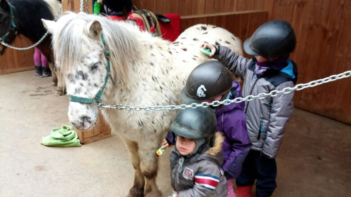Kindergeburtstag auf der Ranch