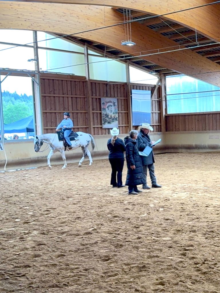 1. Turniertag AQ/C-Turnier 12.06.2026 – Foto 5