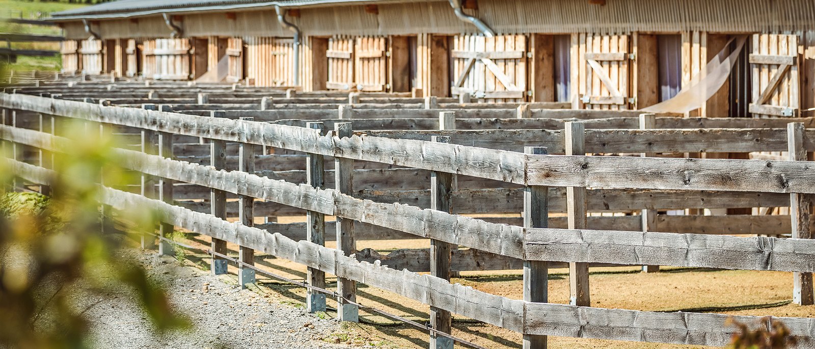 Boxentrakt in der Reithalle