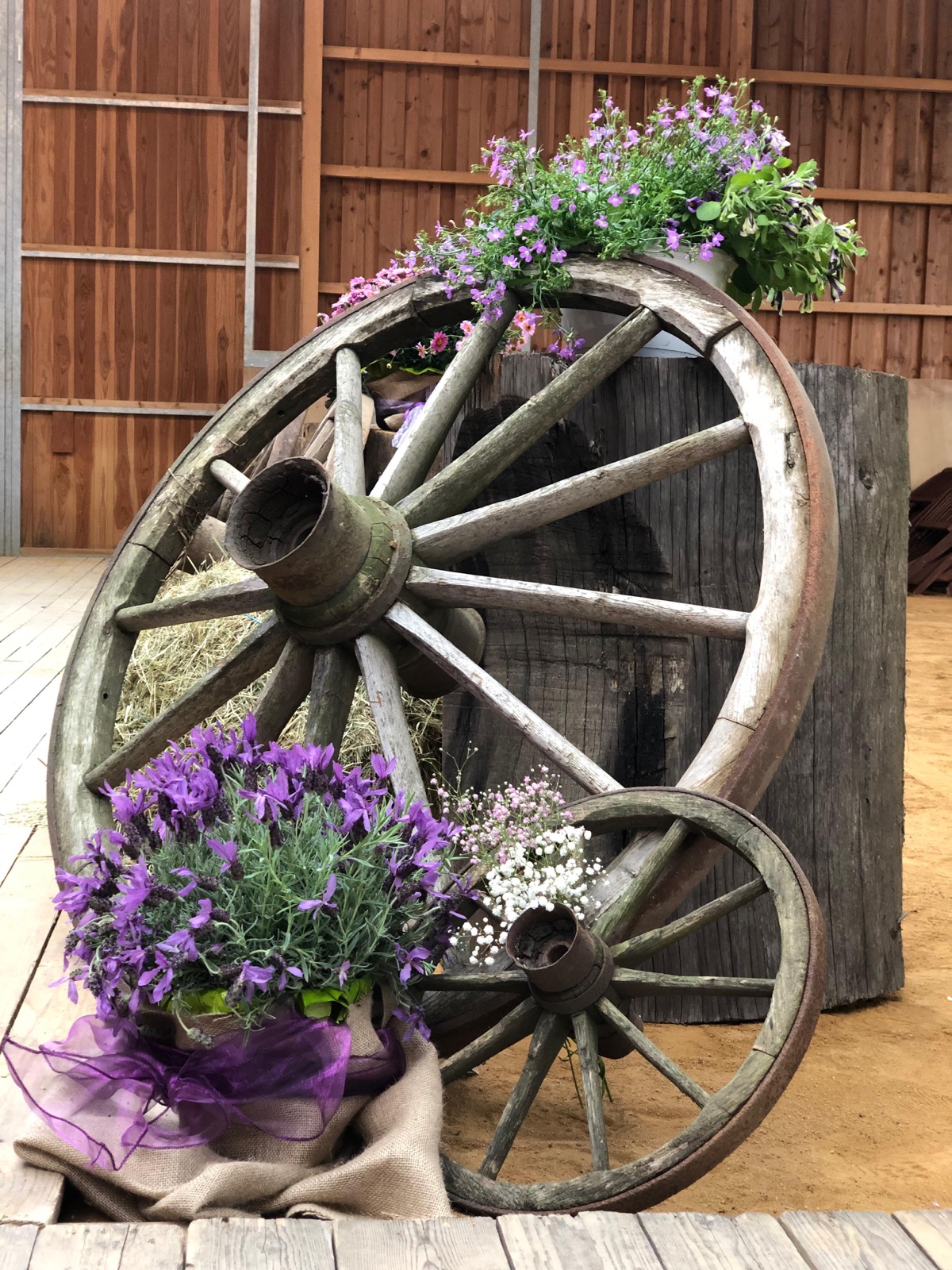 Altes Wagenrad mit Lavendel und Blumen als Dekoration
